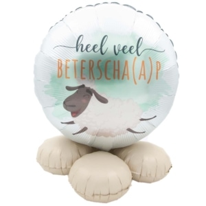 Ballon cadeau Heel veel beterschaap