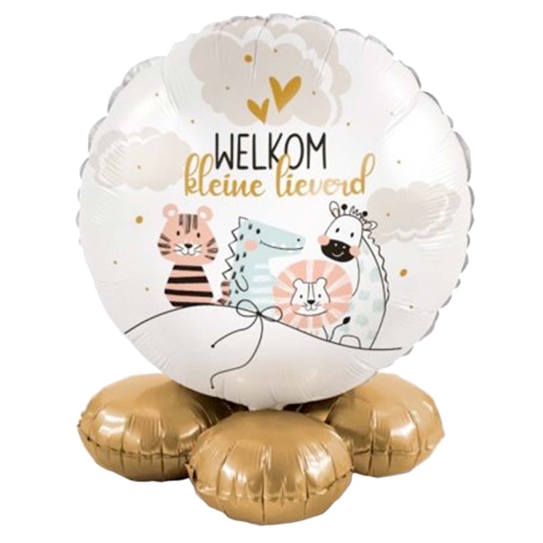 Ballon cadeau welkom kleine lieverd